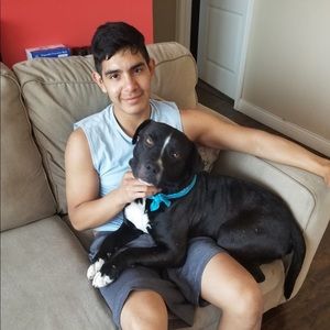 Meet your Posher, Camilo